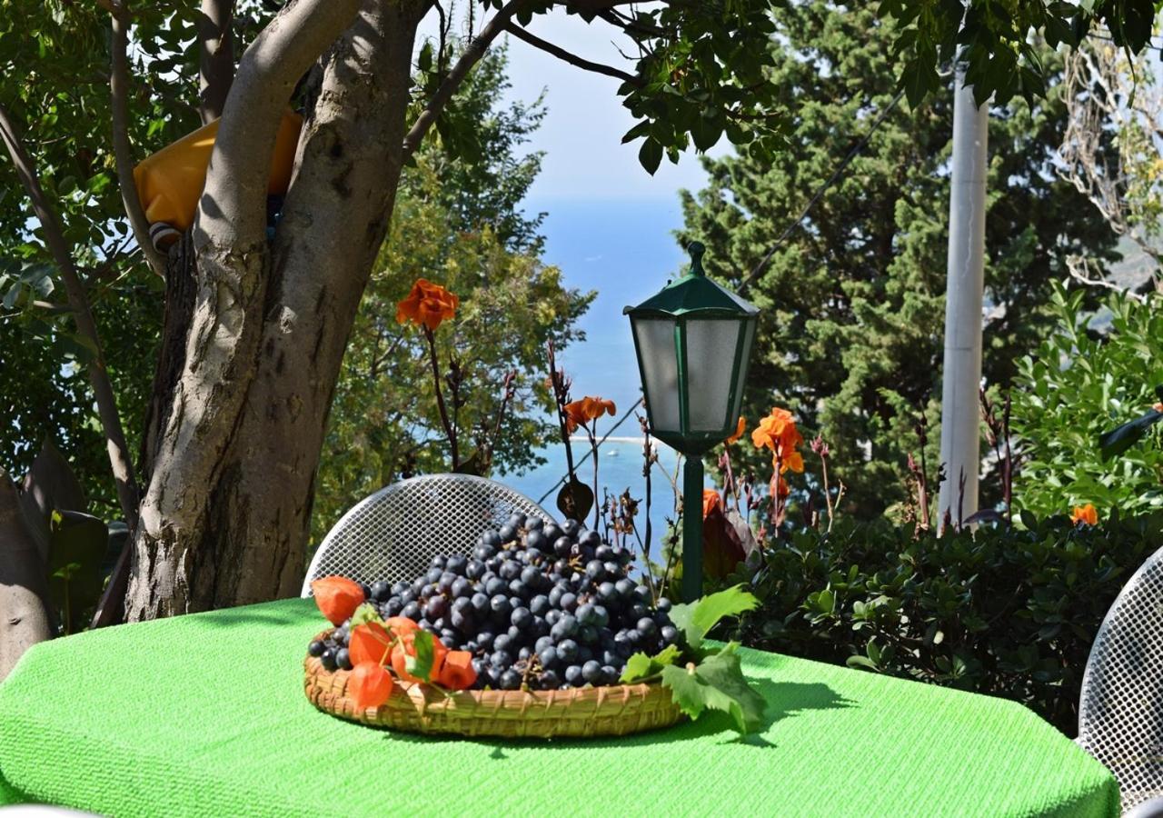 Apartment Ivana Borak Omiš Екстериор снимка
